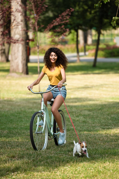 ジャック・ラッセル・テリア近くの自転車に乗る女性の選択的焦点夏の公園で綱に乗って  - 写真・画像