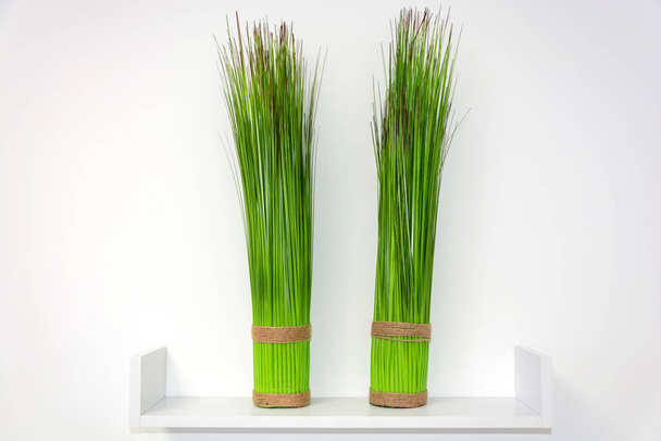 duas decorações verdes na prateleira em uma parede branca em um estilo minimalista - Foto, Imagem