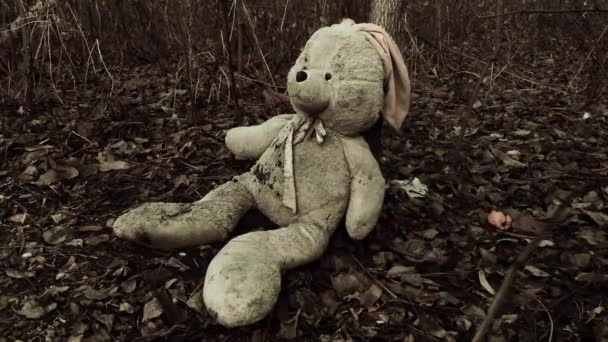 Lonely esquecido brinquedo de pelúcia abandonado coelho-coelho na floresta coberta com folhas de outono. (conceito: depressão, solidão) - Filmagem, Vídeo