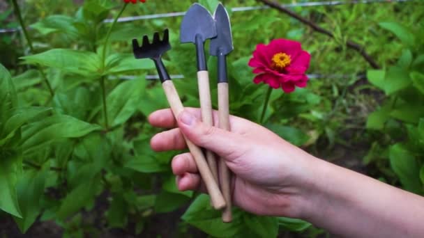 herramientas de jardín conjunto de palas, rastrillos, horquillas en la mano sobre un fondo de flores, vista superior - Metraje, vídeo