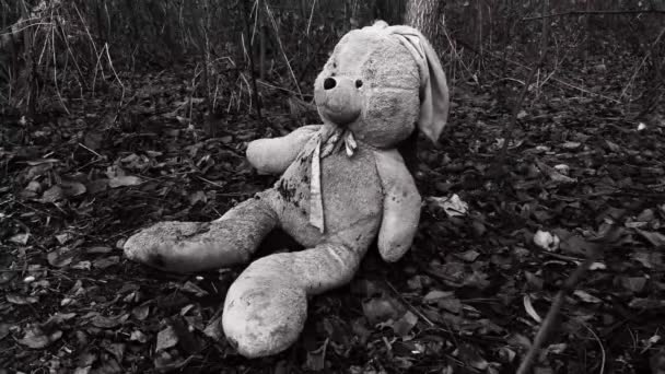 Lonely forgotten abandoned teddy toy bunny-rabbit  in forest covered with autumn leaves. (concept: depression, loneliness) - Footage, Video
