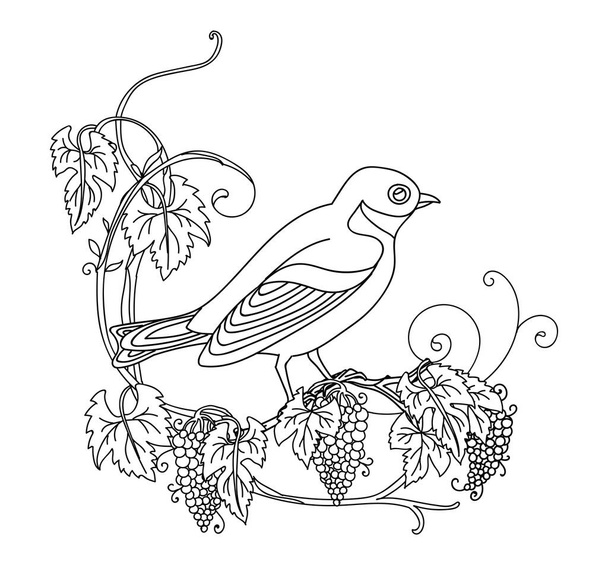 Black contour cute illustration bird and grape. Vector line art illustration isolated on white. Vector hand drawn monochrome image for coloring book, wedding invitation, design, print, t shirt, home decor. - Vector, Image