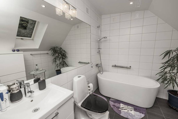 Prachtig uitzicht op het badkamerinterieur in het huis. Dakraam met grote spiegel, wastafel, toiletpot en bad met douche. - Foto, afbeelding