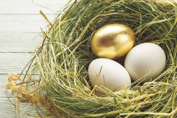Un oro y dos huevos ordinarios en el nido. - Foto, Imagen