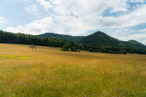 hermoso paisaje en el suroeste del Palatinado (sdwestpfalz) cerca de fischbach, Alemania - Foto, imagen