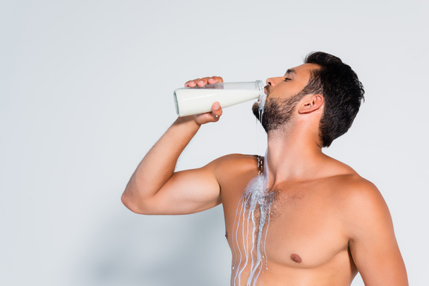 muscular and bearded man drinking fresh milk on grey  - Photo, image