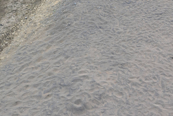τροπική παραλία άμμο κατά τη διάρκεια της ημέρας με την ακτογραμμή - Φωτογραφία, εικόνα