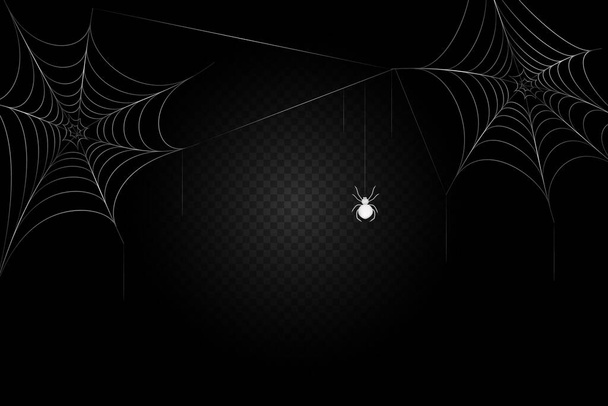 A black spider hangs on a web. - Vector, Image