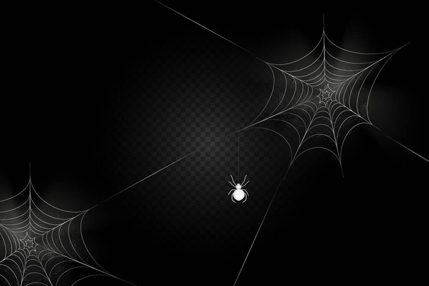 A black spider hangs on a web. - Vector, Image
