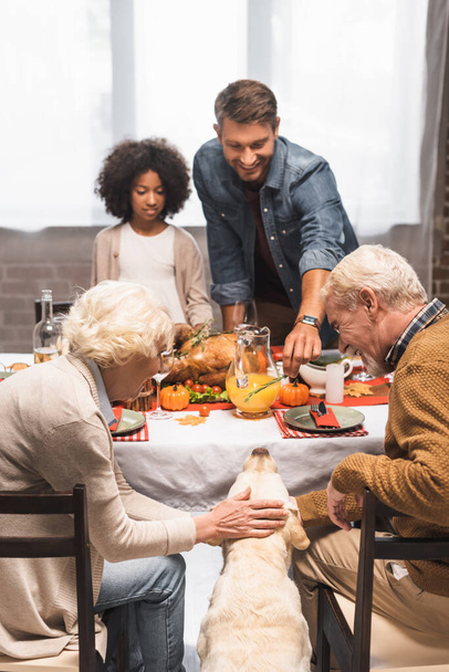 focalizzazione selettiva della donna anziana accarezzando cane golden retriever durante la cena del Ringraziamento con famiglia multiculturale - Foto, immagini
