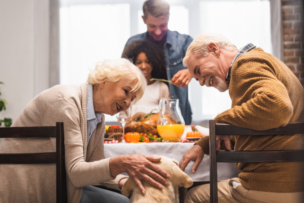 senior woman stroking golden retriever while celebrating thanksgiving day with multicultural family - Photo, Image