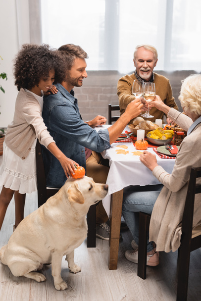 african american girl holding decorative pumpkin near golden retriever while family celebrating thanksgiving day - Photo, Image