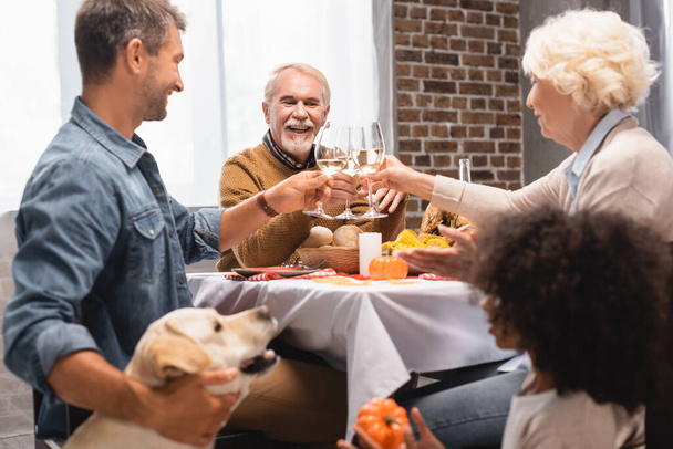 selective focus of african american girl and golden retriever near family clinking wine glasses during thanksgiving dinner - Φωτογραφία, εικόνα