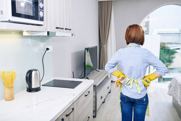 Домохозяйка в фартуке и резиновых перчатках смотрит на квартиру, которую она только что убрала, вид сзади - Фото, изображение