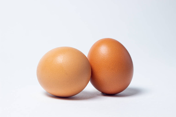 白い背景に卵。鶏の卵が２つ横に並んでいる。 - 写真・画像