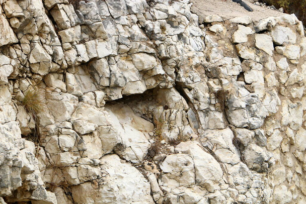 tekstura kamieni i skał zbliżenie w górach w północnym Izraelu  - Zdjęcie, obraz