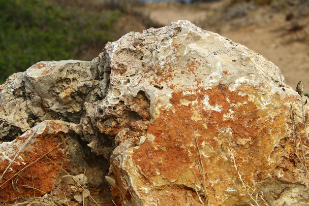 textuur van stenen en rotsen close-up in de bergen in het noorden van Israël  - Foto, afbeelding