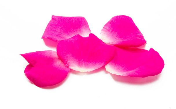 roze rozenblaadjes geïsoleerd op witte achtergrond - Foto, afbeelding
