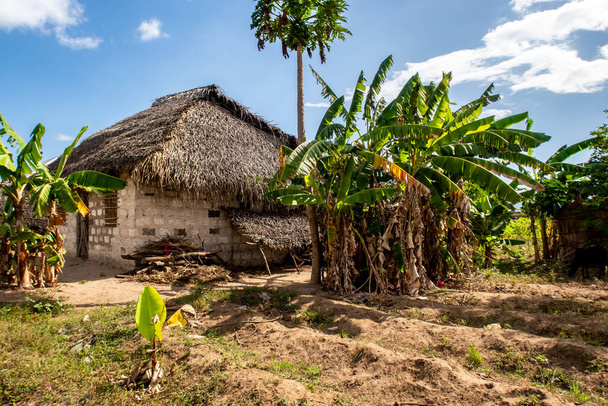 Casa típica africana feita de lama e barro com telhado de palha, cercada por palmeiras e bananeiras e pequeno campo agrícola na Ilha de Pemba, na Tanzânia. - Foto, Imagem