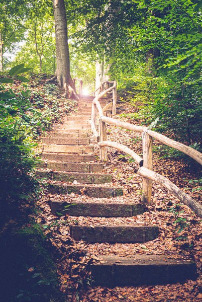 Мистическая лестница в лесу, восхождение в неизвестность - Фото, изображение