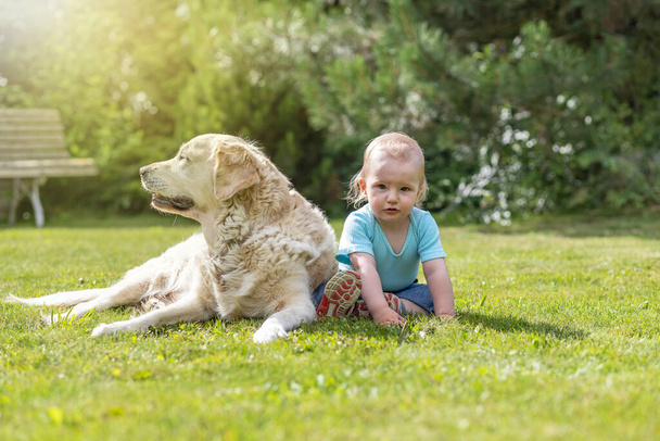 Angry liitle baby boy is posing with lying Golden Retriever dog on the grass in the garden. Boy is looking at the camera. - Valokuva, kuva