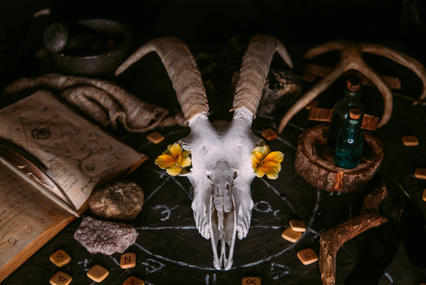 Weißer Ziegenschädel mit Hörnern, Blumen, aufgeschlagenes altes Buch, Kerzen auf dem Hexentisch. Okkultes, Esoterisches, Wahrsagerisches und Zauberhaftes. Halloween, Tag der Toten - Foto, Bild