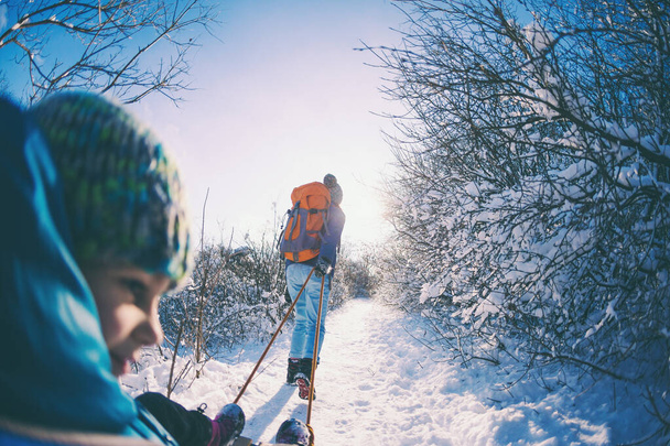 Μια γυναίκα τραβάει ένα έλκηθρο με ένα παιδί. Η μητέρα περπατά με το γιο της μέσα σε ένα χιονισμένο δάσος. Χειμερινή βόλτα στο πάρκο. Το αγόρι καβαλάει ένα έλκηθρο. Χειμερινές δραστηριότητες με παιδιά. Φακός Fisheye. - Φωτογραφία, εικόνα