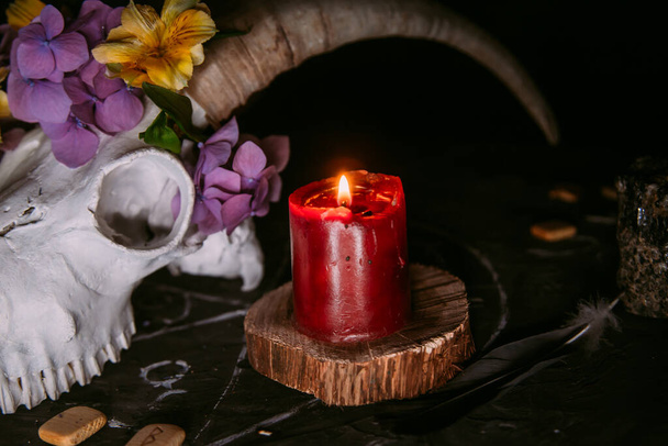 White goat scull with horns, flowers, open old book, candles on witch table. Occult, esoteric, divination and wicca concept. Halloween, Day of the dead concept - Photo, Image
