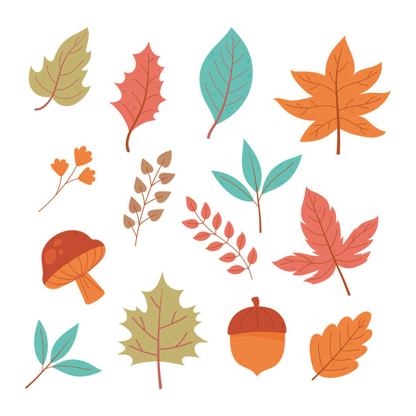 fondo otoño bellota seta hojas follaje botánico iconos - Vector, imagen