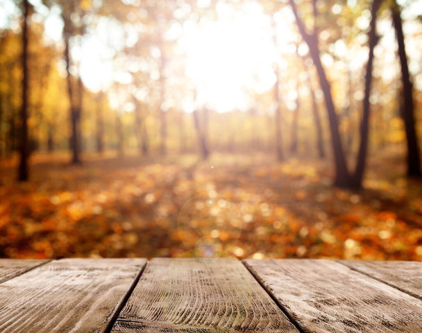 Empty wooden table in autumn park on sunny day - Foto, Imagen