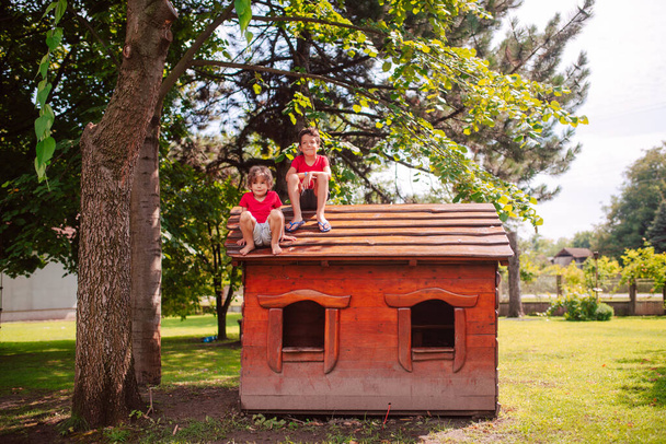 De beaux garçons caucasiens jouent dans une maison en bois dans le parc. Une journée dans la nature - Photo, image