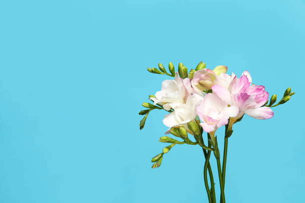 Beautiful blooming freesias on light blue background. Space for text - Фото, изображение