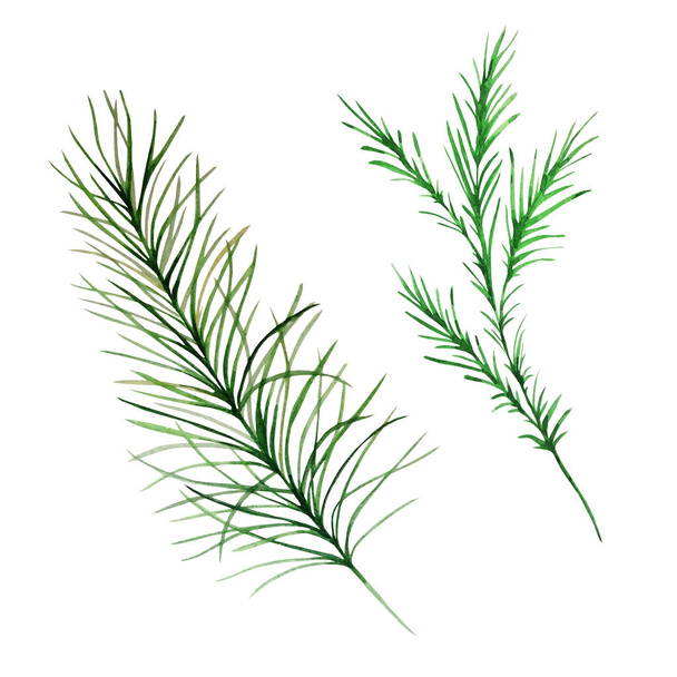 Vánoční ozdoby ze dvou větví malované akvarely na bílém pozadí. Větve stromů. - Fotografie, Obrázek