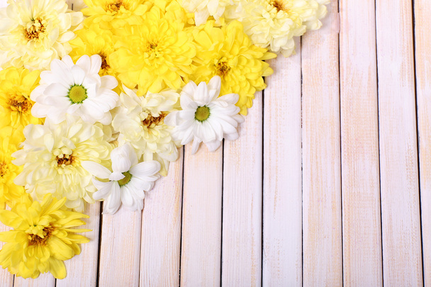 Gyönyörű krizantém virágok fa háttér - Fotó, kép
