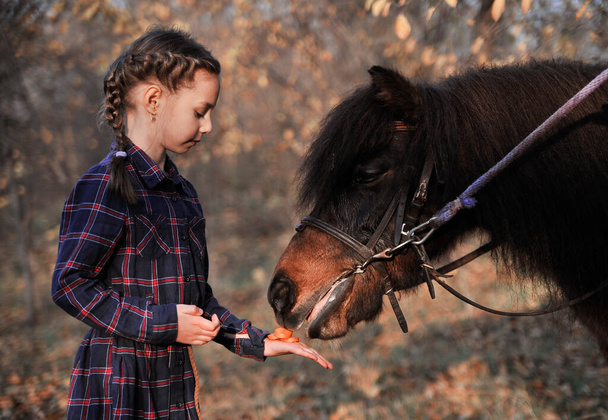 Little girl plays with horse in forest. - Photo, Image