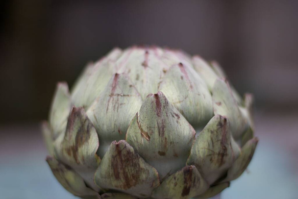 Simple image of artichoke against blurred grey background with copyspace  - Photo, Image