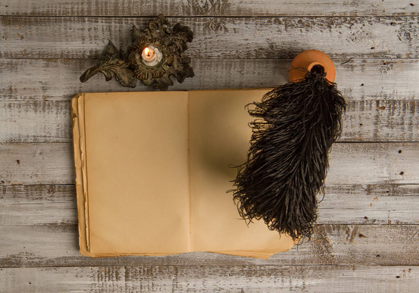 Blanco het oude dagboek en accessoires voor het schrijven van inkt en veren pen - Foto, afbeelding