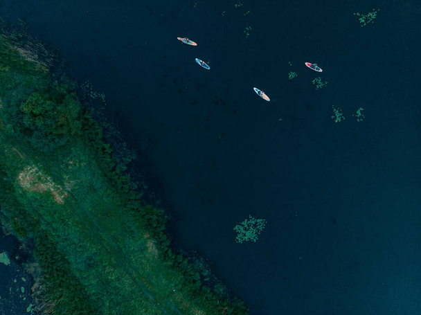 Top view of tourists on lake with SUP-boards. Beautiful clear water with people floating on boards engaged in sup-surfing. Seascape with people rowing on boards on background horizon - 写真・画像