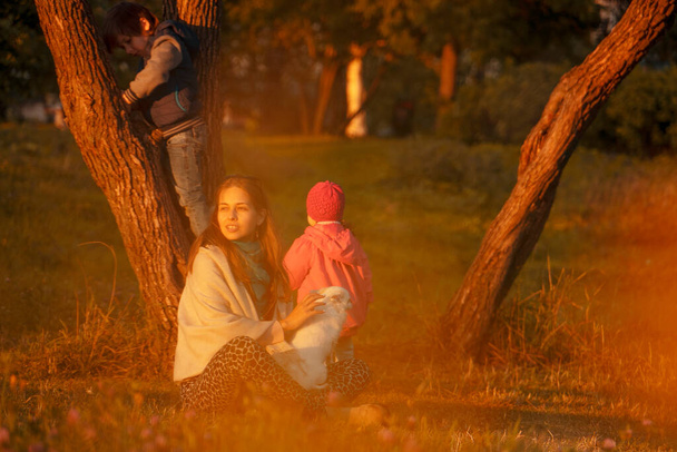 日没の秋の公園を歩いている2人の子供と白い犬の母親. - 写真・画像