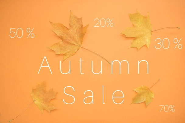 Autumn sale background layout decorate with leaves for shopping or promo poster and frame flyer or web banner. - Фото, изображение