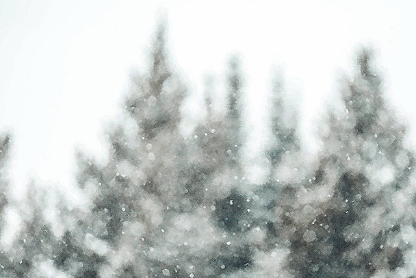 Χιονισμένα πεύκα και έλατο σε λευκό φόντο. Χειμώνας Evergereen δάσος εικονογράφηση.  - Διάνυσμα, εικόνα