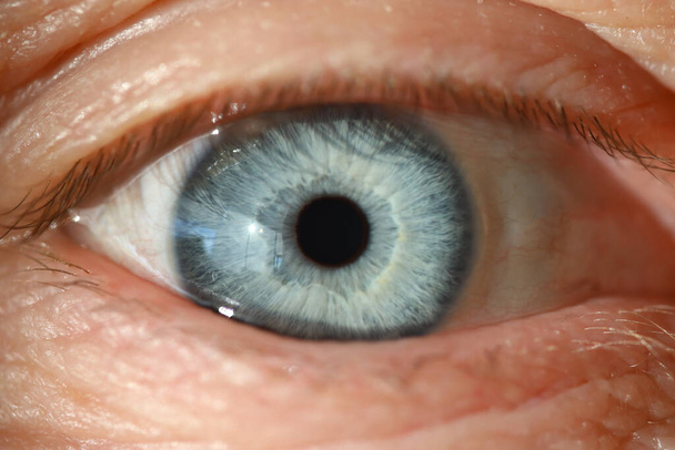 Ojo humano azul con primer plano de pupila negra. - Foto, Imagen