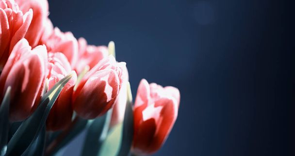 Bukiet świeżych kwiatów. Świąteczny prezent dla ukochanej osoby. Tło Walentynki. Róża, tulipan, układ kwiatowy tęczówki. - Zdjęcie, obraz