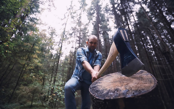 Ormandaki erkek oduncu. Profesyonel oduncu kesim için ağaçları inceliyor.. - Fotoğraf, Görsel