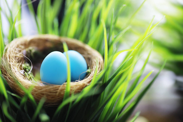 Madárfészek tojásokkal. A fűzfaágak az elsők. Húsvéti háttér. Virágvasárnap. Keresztény ünnep. Tavaszi háttér. - Fotó, kép