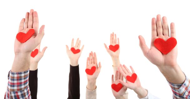Руки с сердцами, изолированные на белом
 - Фото, изображение