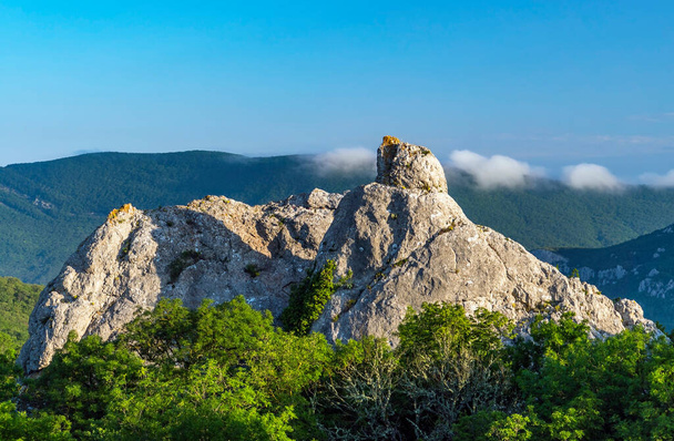 Nad lesem se tyčí hora Ilyas Kaya. jižní pobřeží Krymu - Fotografie, Obrázek