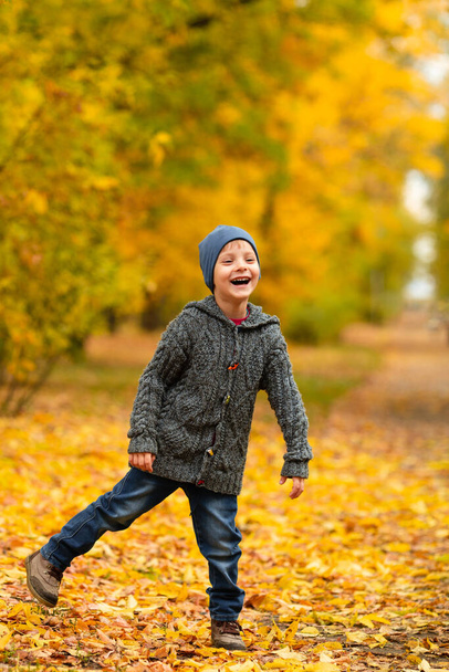 Cheerful child smiling in yellow and gold autumn forest. Boy walk on leafs in fall park. Family walk outdoor. Friendly relationship in family. Cozy and warm knitted sweater. - Valokuva, kuva
