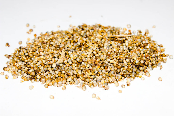 A picture of Pearl millet with selective focus - Photo, Image