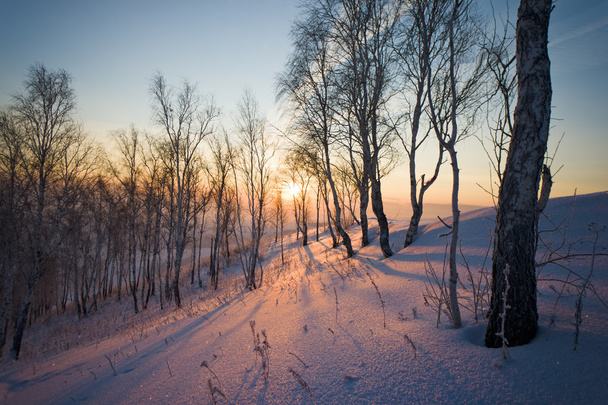 Sunrise in winter - Foto, Imagen